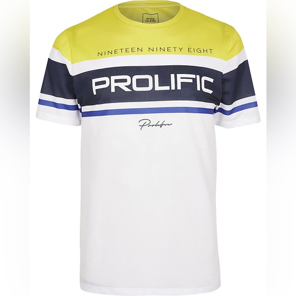 River Island Men's Multicolor 'Prolific' Mesh Slim Fit T-Shirt - Picture 4 of 5